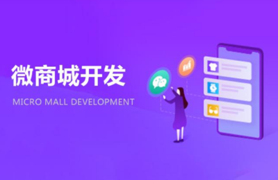 小程序開發(fā)定制_微信小程序開發(fā)推廣服務平臺