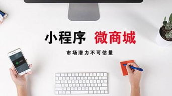 今日頭小程序定制開發(fā) 天助互聯(lián) 小程序