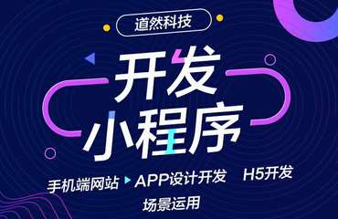 企業定制網站建設,小程序開發,微信開發