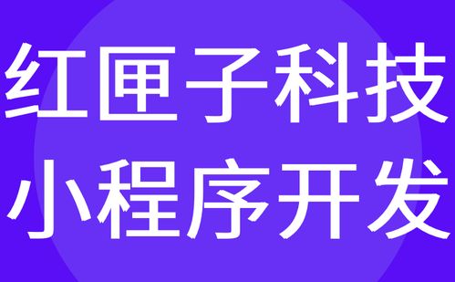 廣州小程序開發有哪些公司 前十名 哪家好 紅匣子科技